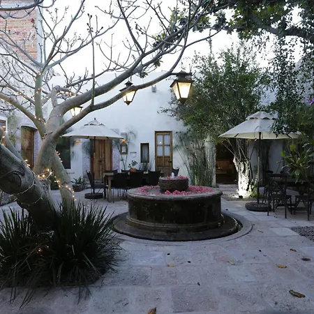 Orchid House San Miguel De Allende-3