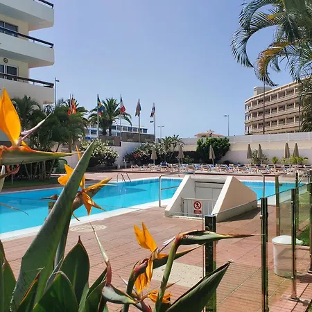 Las Camelias Apartments-3