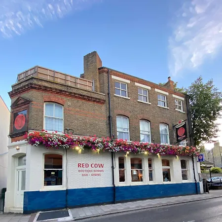 The Red Cow - Guest House-2