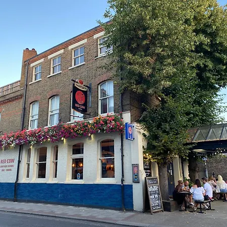 The Red Cow - Guest House-3