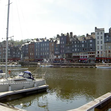 Adonis Hauts De Honfleur-2