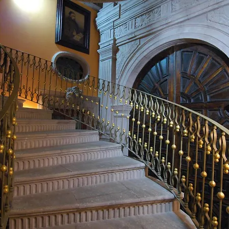 Hotel Museo Palacio de San Agustin-3