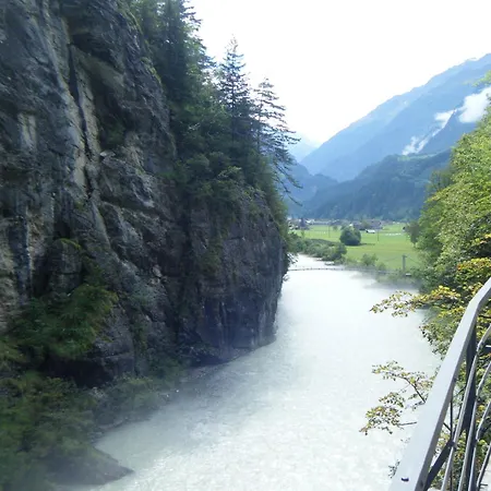 Alpenrose-3