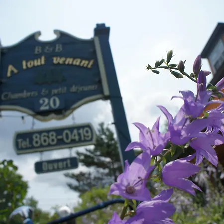 A Tout Venant B&B-2