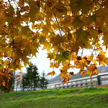 Furano Hotel 富良野ホテル-2