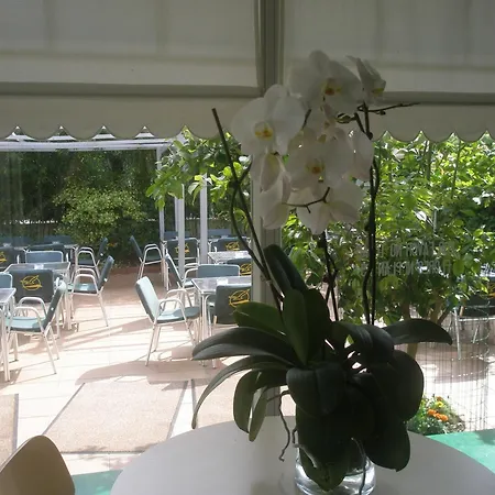 Hotel Atalaya- Free Parking Gratuito-3