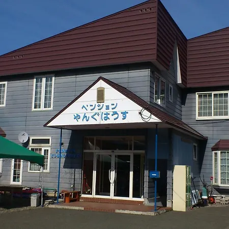 Pension Young House-3