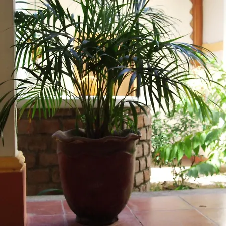 Hotel Casa Barcelona-2