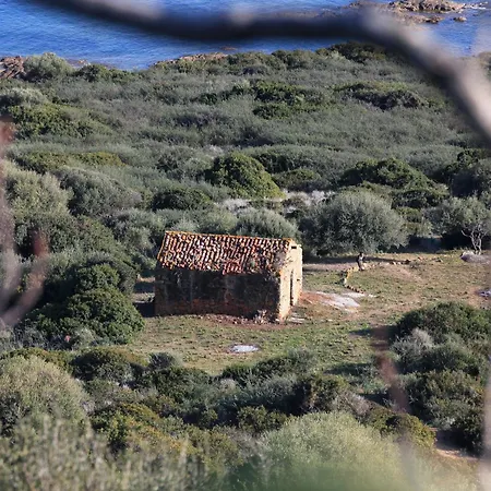 Residenza L 'Alivetu-3