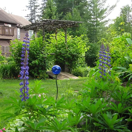 Spring Lake Resort-3