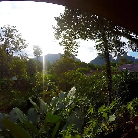 Khao Sok Morning Mist Resort-2