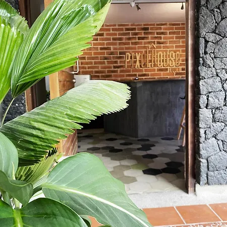 Pixel House Hotel (Adults Only)-3