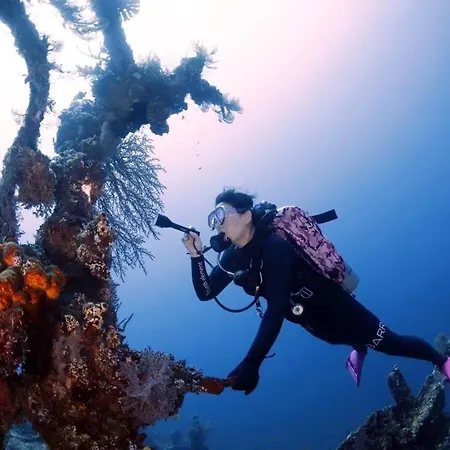 Villa Alba Bali Dive Resort-2