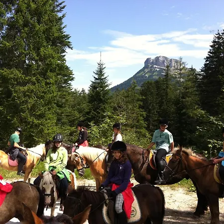 Reitbauernhof Schartner-2