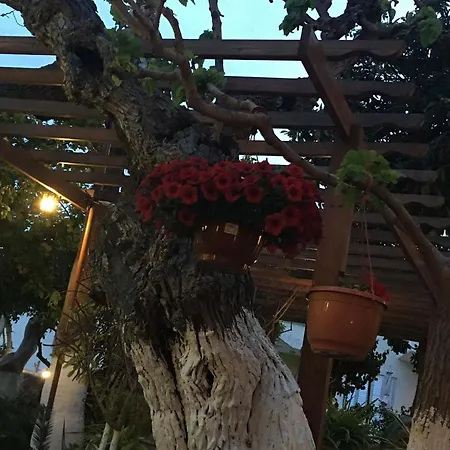 The Bunch Of Grapes Inn-2