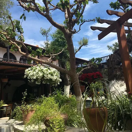 The Bunch Of Grapes Inn-3