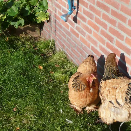Slaopen en Stoet-2