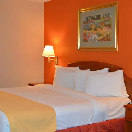 Americas Best Value Inn Gainesville Tx-3