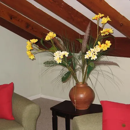 Ainslie Manor Guest House-2