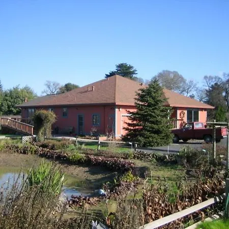 Pearlessence Vineyard Inn-3