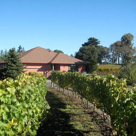Pearlessence Vineyard Inn-2