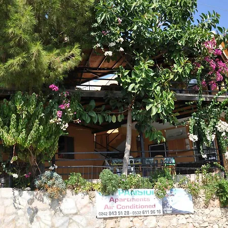 Jet Pension-2