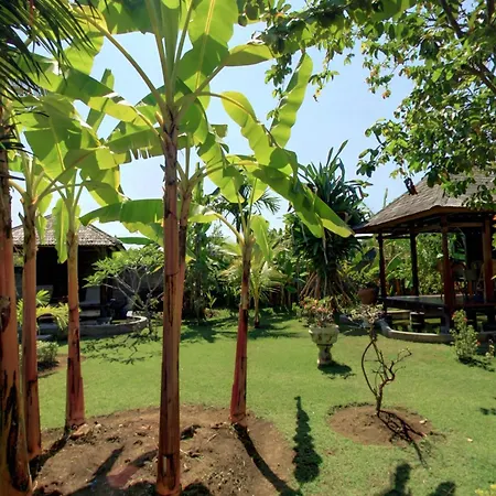 Sawah Lovina-3
