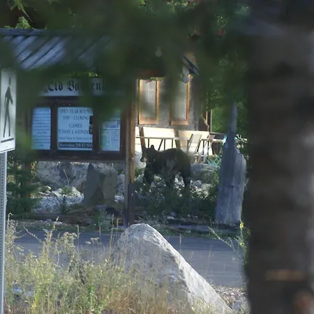 Alpenglow Bed And Breakfast-2