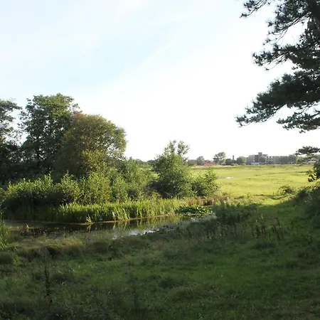 Hotel Studio Bosch Duin Strand-3