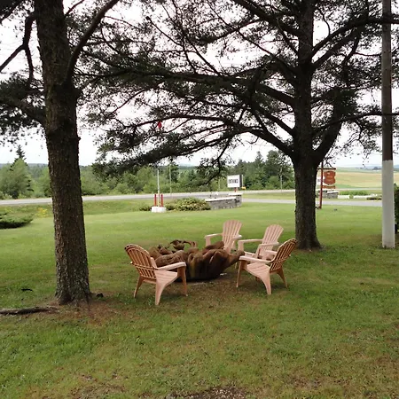Pinecone Motel-3