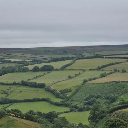 Coombe Farm-2