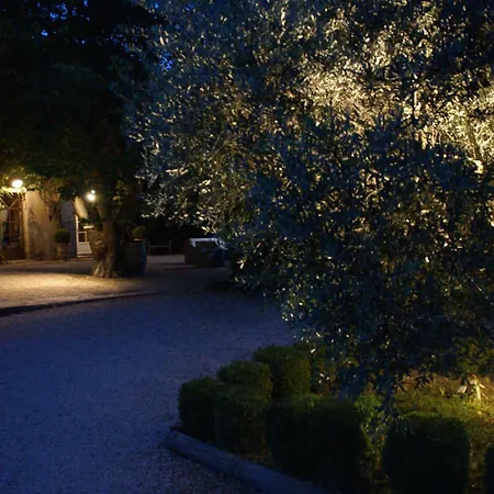 Cote Provence-3