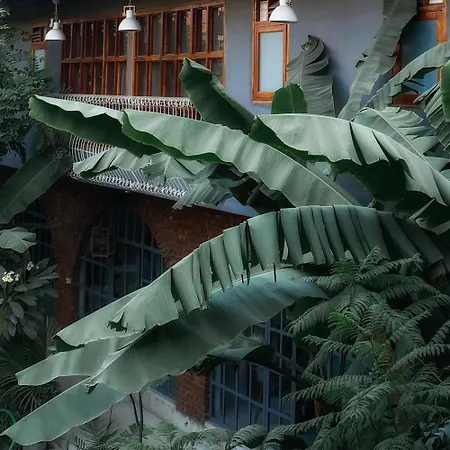 The Artist House Udaipur-2