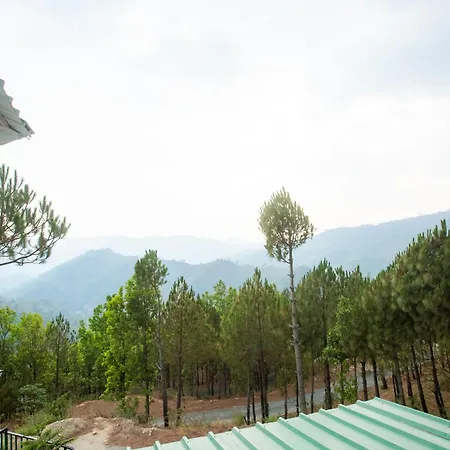 Blue Pine Orchards-3