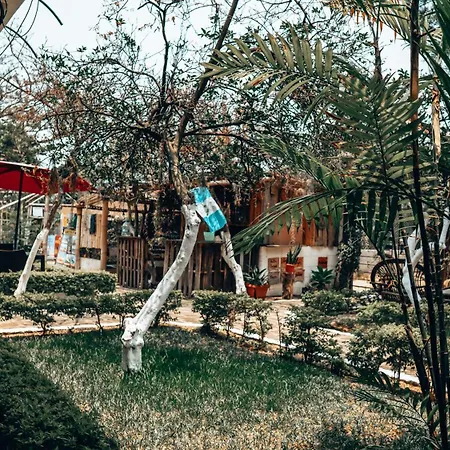 Complejo Don Pascual-2