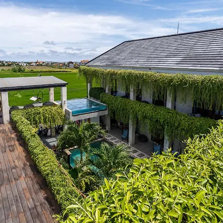 Canggu Hype-3