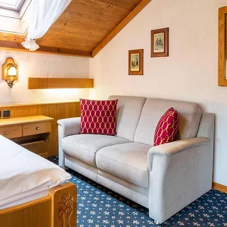 Hotel Alpina-3