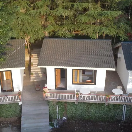 Oakwood Hamlet-2