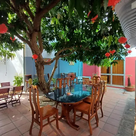 La Villa vung tau-3