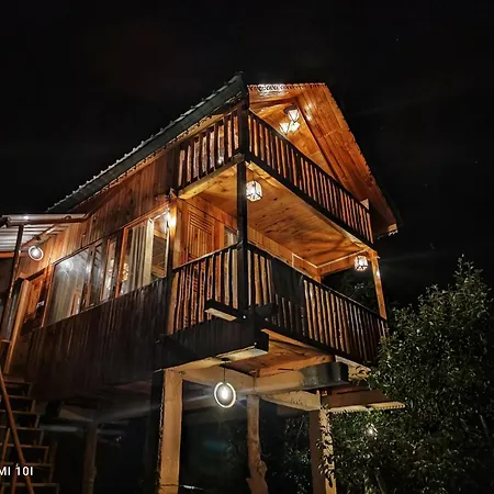 The Tree Top Treehouse Jibhi-3