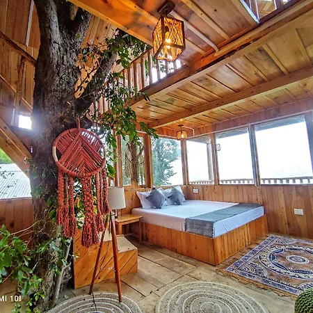 The Tree Top Treehouse Jibhi-2