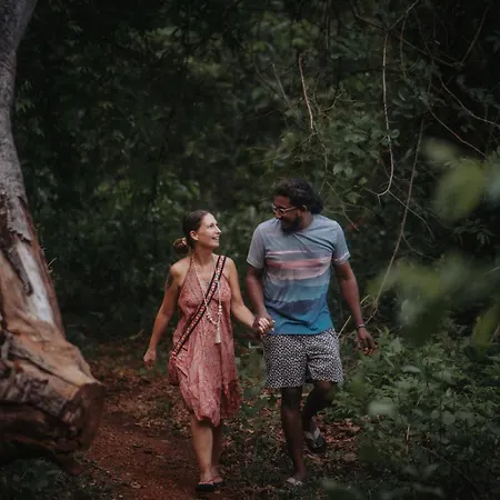 Thenmala Ecoresort-2