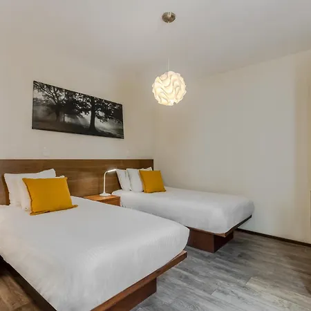 Om 686 Urban Lofts Narvarte-2