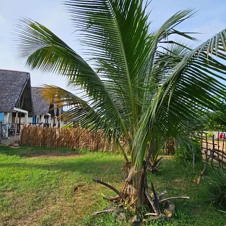 Sanjeela-Plage Coco-3