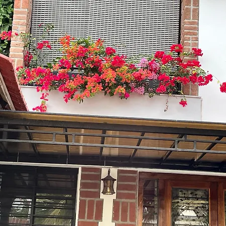 Mermaid Farm House-2