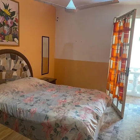 Palmas-3