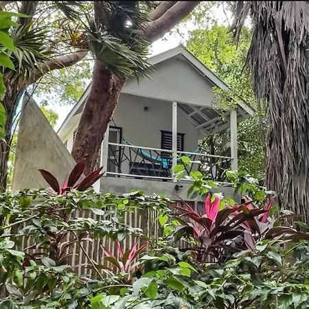 Feather'S Guesthouse-3
