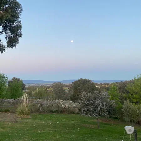 Darcy'S Ranch-3