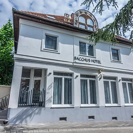 Hotel Bacchus-3