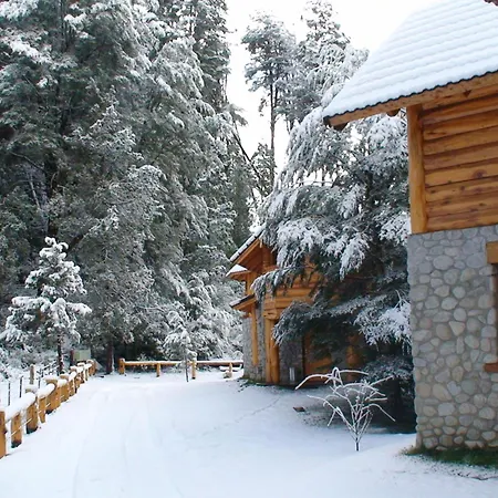 El Raulí del Bonito-3